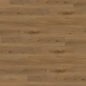 Sonderaktion Creation 40 Clic Acoustic I Aquinoah Brown 1705